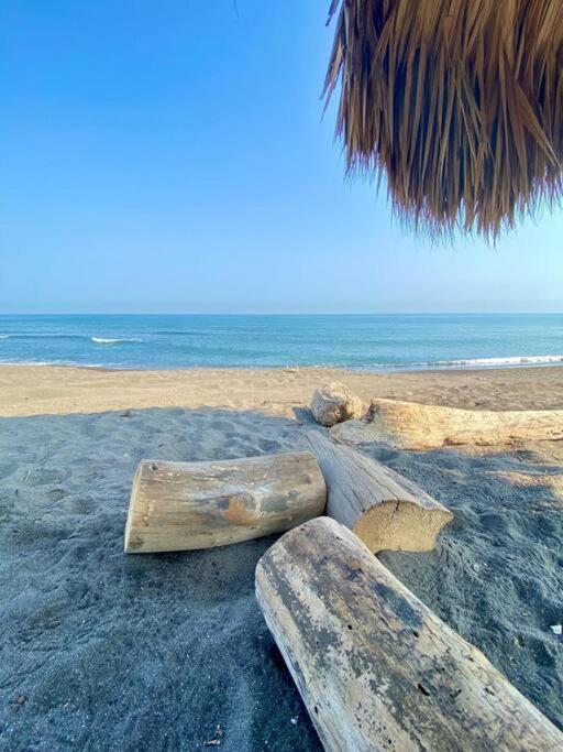 Victoria'S Beach House Альварадо Экстерьер фото